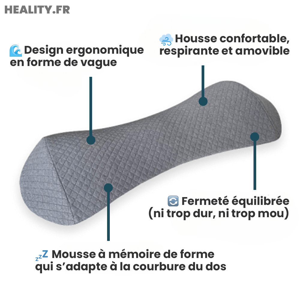 Coussin Ergonomique de Soutien Lombaire